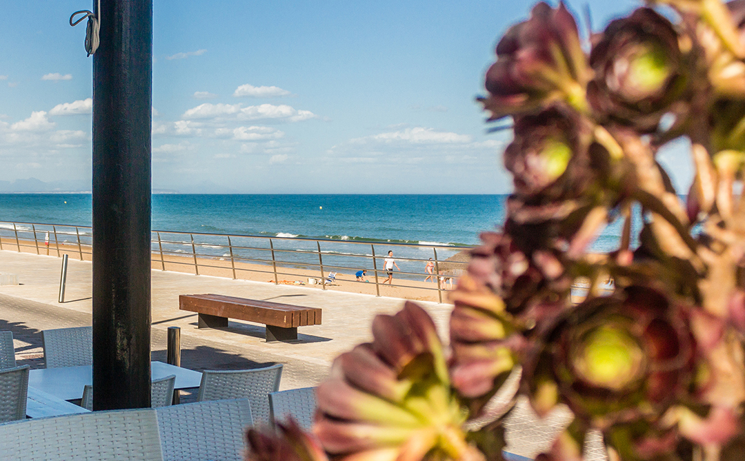 Restaurant Vela Beach in Torre La Mata Torrevieja